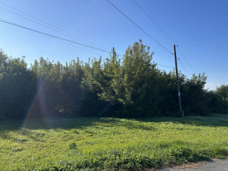 Фотография Продажа помещения свободного назначения, 536 м² , микрорайон Совхоз Медведево 48/3  №10