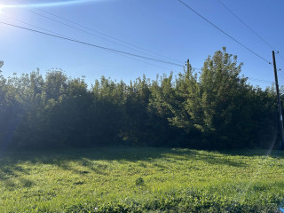 Фотография Продажа помещения свободного назначения, 536 м² , микрорайон Совхоз Медведево 48/3  №9