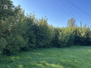 Фотография Продажа помещения свободного назначения, 536 м² , микрорайон Совхоз Медведево 48/3  №7