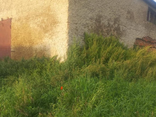 Фотография Продажа склада, 342 м² , Новая улица 58 №2 Фотография Продажа склада, 342 м² , Новая улица 58 №2