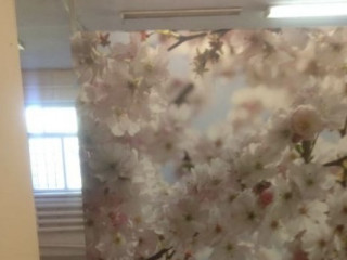 Фотография Продажа помещения свободного назначения, 241 м² , улица Арсеньева 120  №7