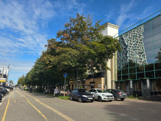 Фотография Аренда офиса, 25 м² , Пушкинская улица 268 №6 Фотография Аренда офиса, 25 м² , Пушкинская улица 268 №6