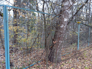 Фотография Продажа помещения свободного назначения, 15723 м² , Васильковая улица 6 №25 Фотография Продажа помещения свободного назначения, 15723 м² , Васильковая улица 6 №25