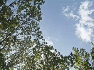 Продажа помещения свободного назначения 14 м² Монтажная улица вл8/24 