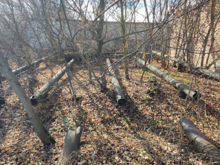 Фотография Продажа помещения свободного назначения, 764 м² , улица Калинина 2А  №2