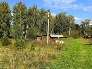 Фотография Продажа склада, 11000 м² , Р-257 Енисей №2 Фотография Продажа склада, 11000 м² , Р-257 Енисей №2