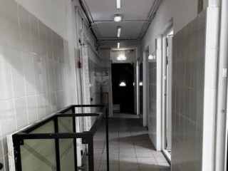 Фотография Аренда помещения свободного назначения, 272 м² , проспект 60-летия Октября 20 №3 Фотография Аренда помещения свободного назначения, 272 м² , проспект 60-летия Октября 20 №3