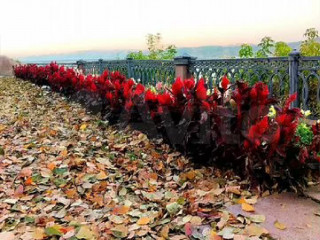 Фотография Аренда офиса, 37 м² , улица Николая Островского 32  №9