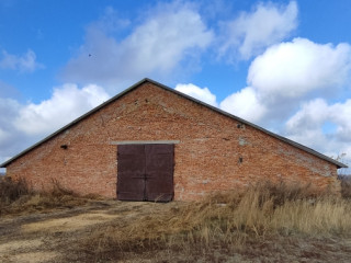 Фотография Продажа помещения свободного назначения, 2027 м² , Центральная улица 43  №9