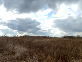 Фотография Продажа помещения свободного назначения, 919 м² , улица имени С.Т. Разина 5  №6