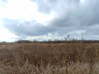 Фотография Продажа помещения свободного назначения, 919 м² , улица имени С.Т. Разина 5  №3