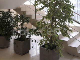 Фотография Аренда офиса, 110 м² , улица Обручева 36к1  №20