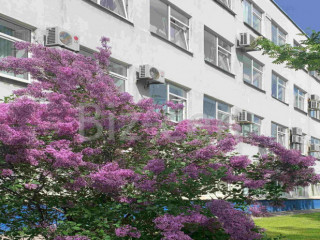 Фотография Аренда офиса, 17 м² , проспект Культуры 44  №9