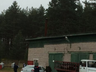 Фотография Продажа производственного помещения, 1968 м² , улица Плесо 9  №5