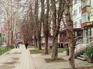 Фотография Продажа помещения свободного назначения, 51 м² , Ставропольская улица №6 Фотография Продажа помещения свободного назначения, 51 м² , Ставропольская улица №6
