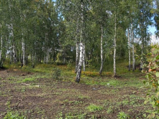 Фотография Продажа производственного помещения, 11000 м² , 04К-296, 3-й километр   №4