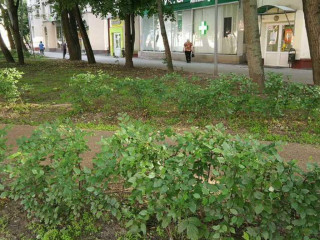 Фотография Продажа помещения свободного назначения, 178 м² , Огородный проезд 19  №34