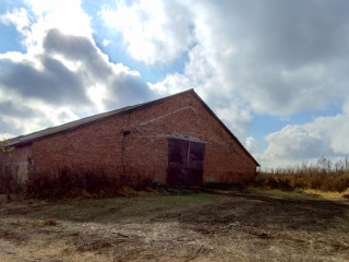 Фотография Продажа помещения свободного назначения, 2024 м² , Центральная улица 43  №14