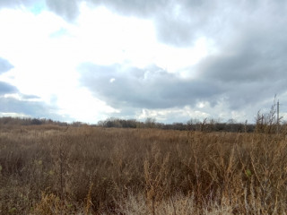 Фотография Продажа помещения свободного назначения, 919 м² , улица имени С.Т. Разина 5  №8