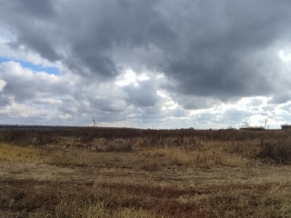 Фотография Продажа помещения свободного назначения, 919 м² , улица имени С.Т. Разина 5  №24