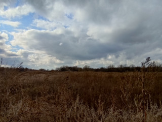 Фотография Продажа помещения свободного назначения, 919 м² , улица имени С.Т. Разина 5  №5