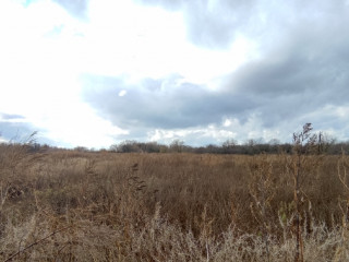 Фотография Продажа помещения свободного назначения, 919 м² , улица имени С.Т. Разина 5  №4