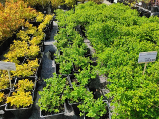 Аренда помещения свободного назначения 200 м² деревня Папино 91