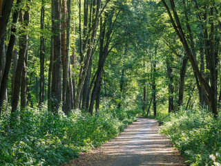 Фотография Продажа помещения свободного назначения, 49 м² , поселок Октябрьский 1  №8