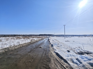 Фотография Продажа земли промышленного назначения, 1800 м² , Овощное отделение тер 16 №2 Фотография Продажа земли промышленного назначения, 1800 м² , Овощное отделение тер 16 №2