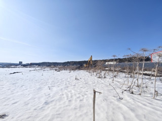 Фотография Продажа земли промышленного назначения, 1800 м² , Овощное отделение тер 16 №4 Фотография Продажа земли промышленного назначения, 1800 м² , Овощное отделение тер 16 №4