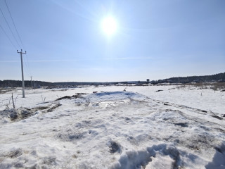 Фотография Продажа земли промышленного назначения, 1800 м² , Овощное отделение тер 16 №3 Фотография Продажа земли промышленного назначения, 1800 м² , Овощное отделение тер 16 №3