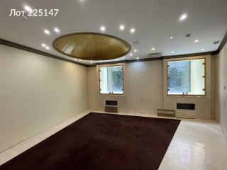 Фотография Аренда помещения свободного назначения, 208 м² , Кутузовский проспект 5/3  №17