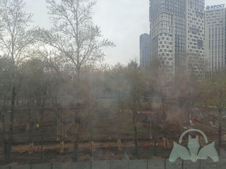 Фотография Аренда офиса, 53 м² , бульвар Генерала Карбышева 8с3  №6