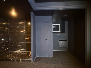 Фотография Аренда помещения свободного назначения, 178 м² , Невский проспект 88  №12