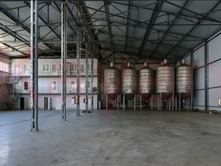 Фотография Продажа производственного помещения, 20585 м² , Промышленная улица №8