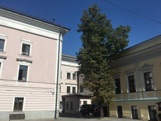 Фотография Аренда помещения свободного назначения, 290 м² , Подсосенский переулок 23с2  №18