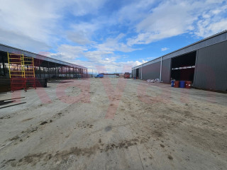 Фотография Аренда склада, 1500 м² , 03К-011 №12