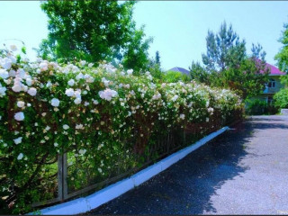 Фотография Продажа помещения свободного назначения, 1800 м² , улица Марата №9