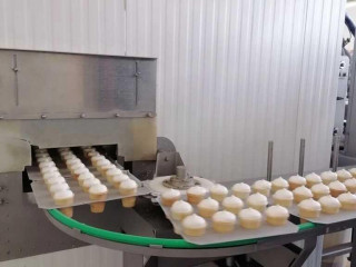 Фотография Продажа производственного помещения, 23649 м² , проспект Гая 77  №14