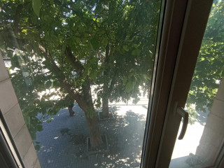 Фотография Продажа помещения свободного назначения, 303 м² , улица Крупской 39/34  №19