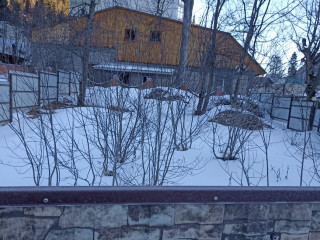 Продажа помещения свободного назначения 314 м² Пихтовый мыс улица 8 