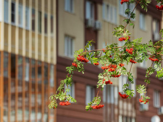 Фотография Аренда помещения свободного назначения, 75 м² , Сухановская улица 2  №6