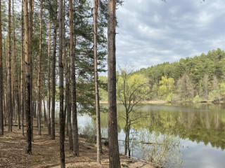 Фотография Продажа помещения свободного назначения, 527 м² , Голубой переулок 88  №1