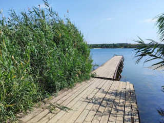 Продажа помещения свободного назначения 78 м² Новоселицкая улица 104 