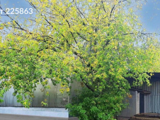 Фотография Продажа помещения свободного назначения, 473 м² , Научный проезд 8с6  №1