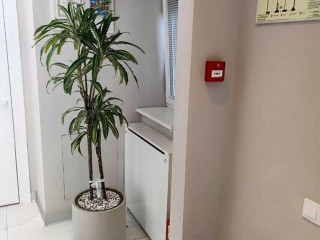 Фотография Продажа помещения свободного назначения, 71 м² , 1-й Спасоналивковский переулок 19 №13 Фотография Продажа помещения свободного назначения, 71 м² , 1-й Спасоналивковский переулок 19 №13