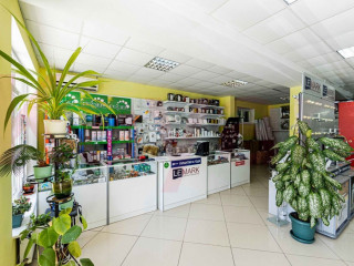 Фотография Продажа офиса, 106 м² , Новороссийская улица №9