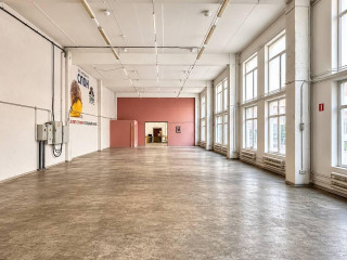 Фотография Аренда помещения свободного назначения, 531 м² , улица Прянишникова 19Ас13  №1
