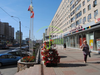 Фотография Аренда магазина, 333 м² , проспект Просвещения 84к1 №9 Фотография Аренда магазина, 333 м² , проспект Просвещения 84к1 №9