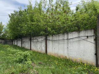 Фотография Продажа помещения свободного назначения, 806 м² , улица Николая Ковалёва 6  №19